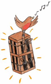 The Gluttonous Gardener Christmas gifting ideas. Our gorgeous plant gifts are an amazing way to say Merry Christmas this festive season.