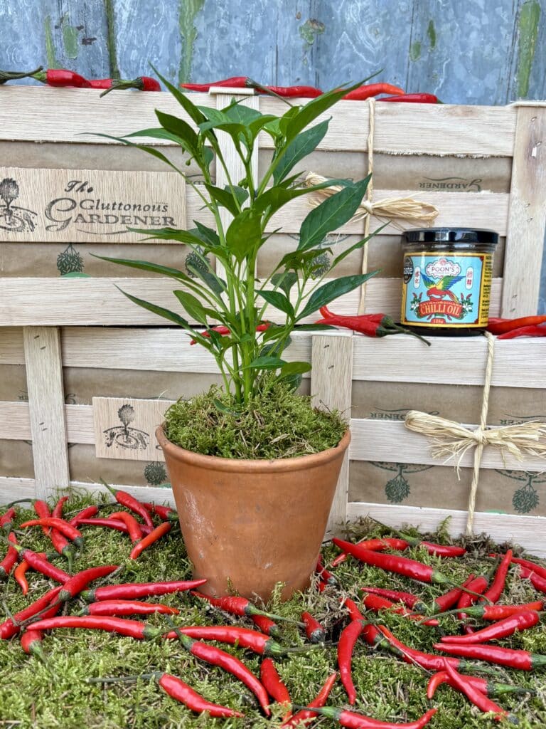 Surprise your dad with the Chilli sauce gift set, perfect for adding a kick to any meal! This limited-edition box is a must-have for food lovers.