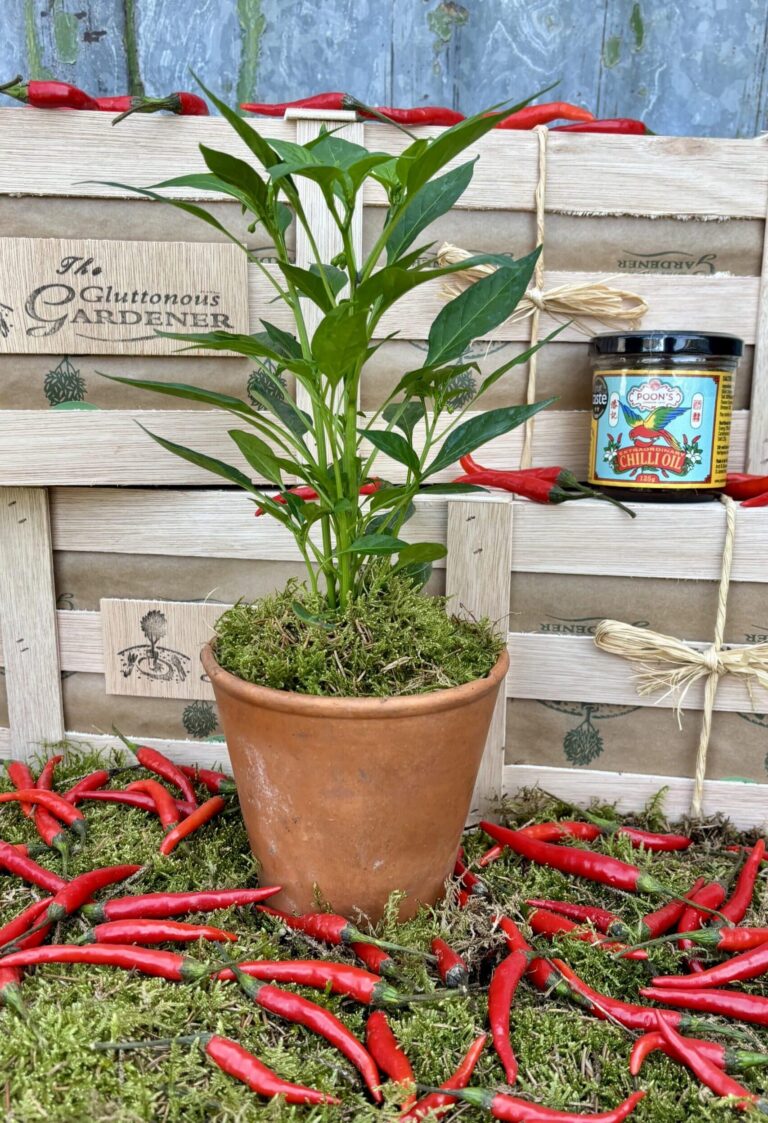 Surprise your dad with the Chilli sauce gift set, perfect for adding a kick to any meal! This limited-edition box is a must-have for food lovers.