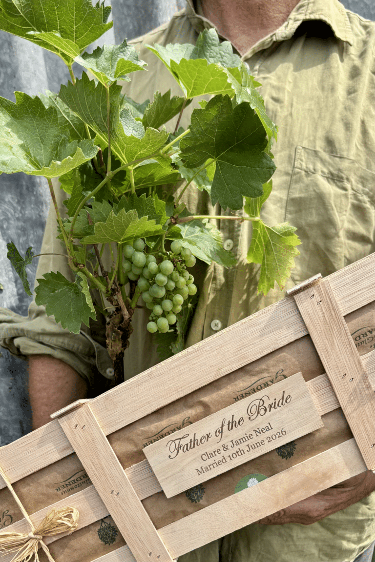 Celebrate the Father of the Bride with a personalised grape vine gift. A thoughtful wedding keepsake that grows, fruits and creates lasting memories.